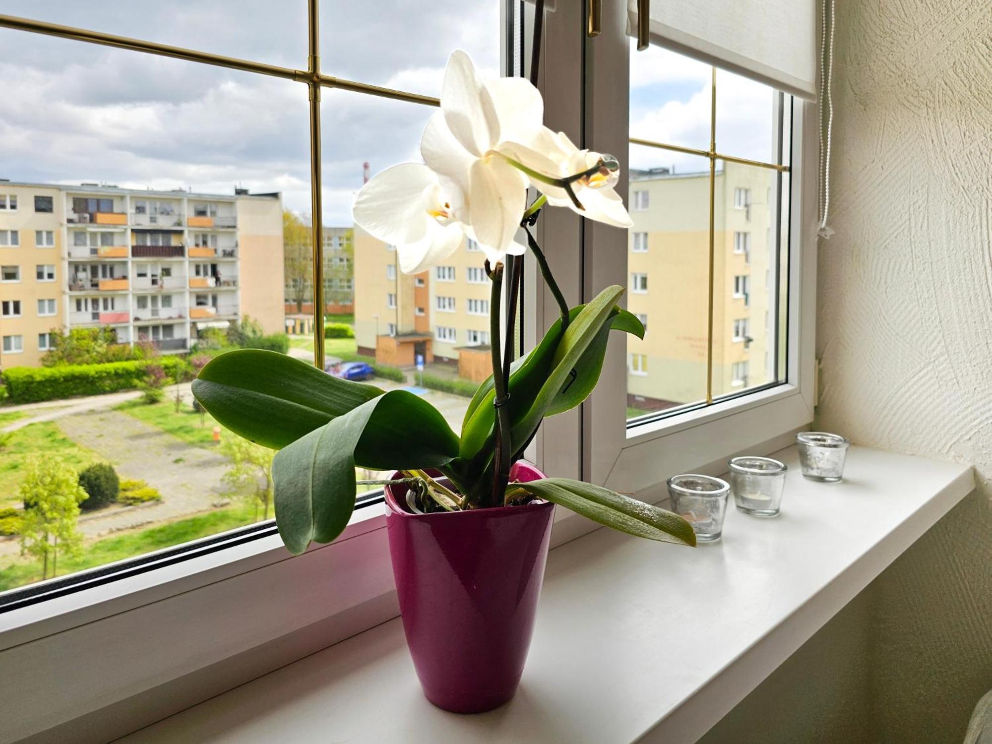 Visit Baltic - Apartament Sunny Свиноуйсьце Экстерьер фото